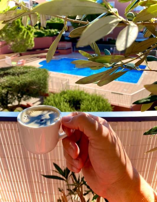 Coeur De Frejus, L'Amphitheatre, Appartement 3 Pieces Climatise, Terrasse, Barbecue, Piscine & Parking Екстериор снимка